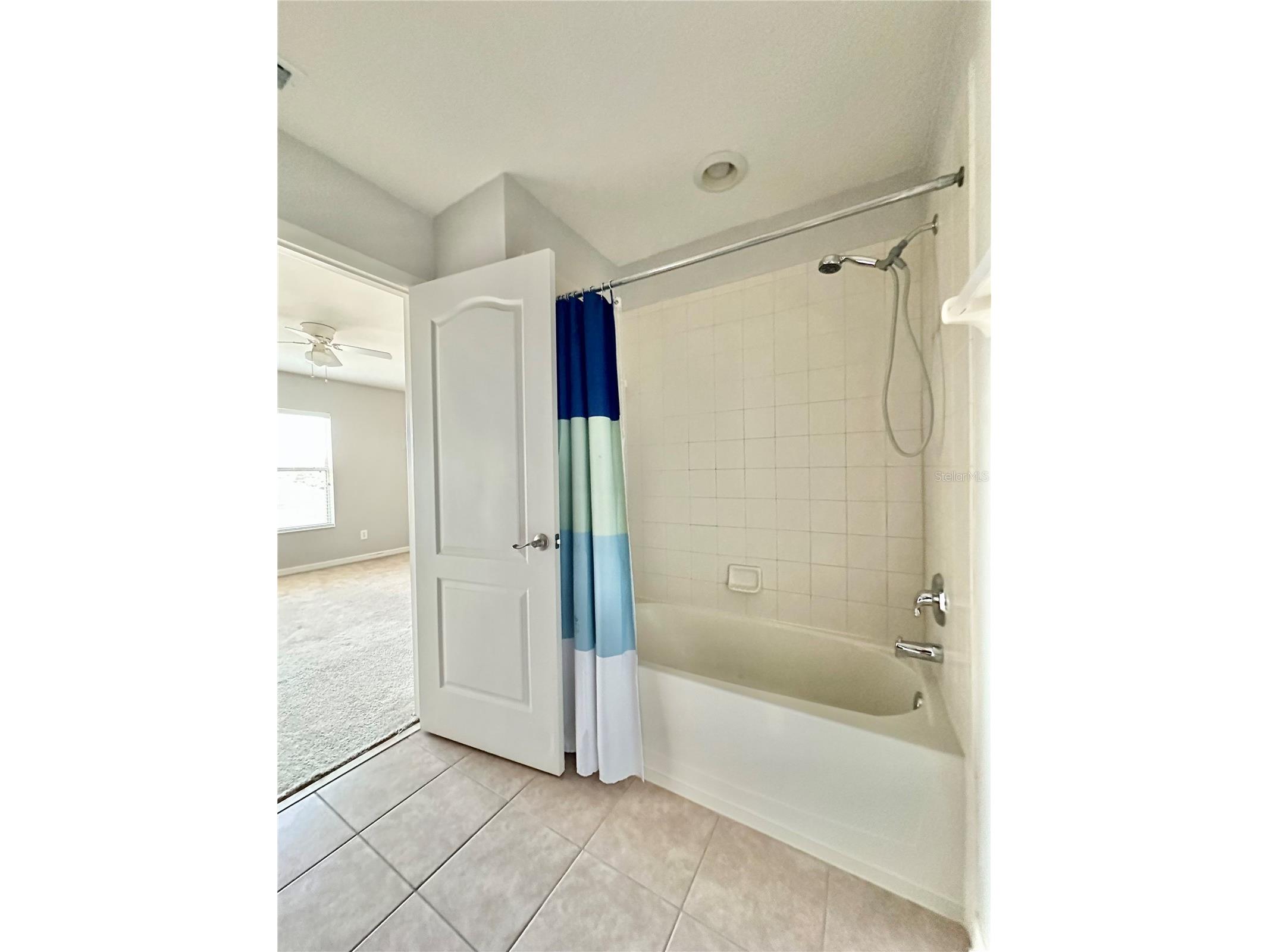 6950 Towering Spruce Drive Riverview FL 33578 OM717098 image14