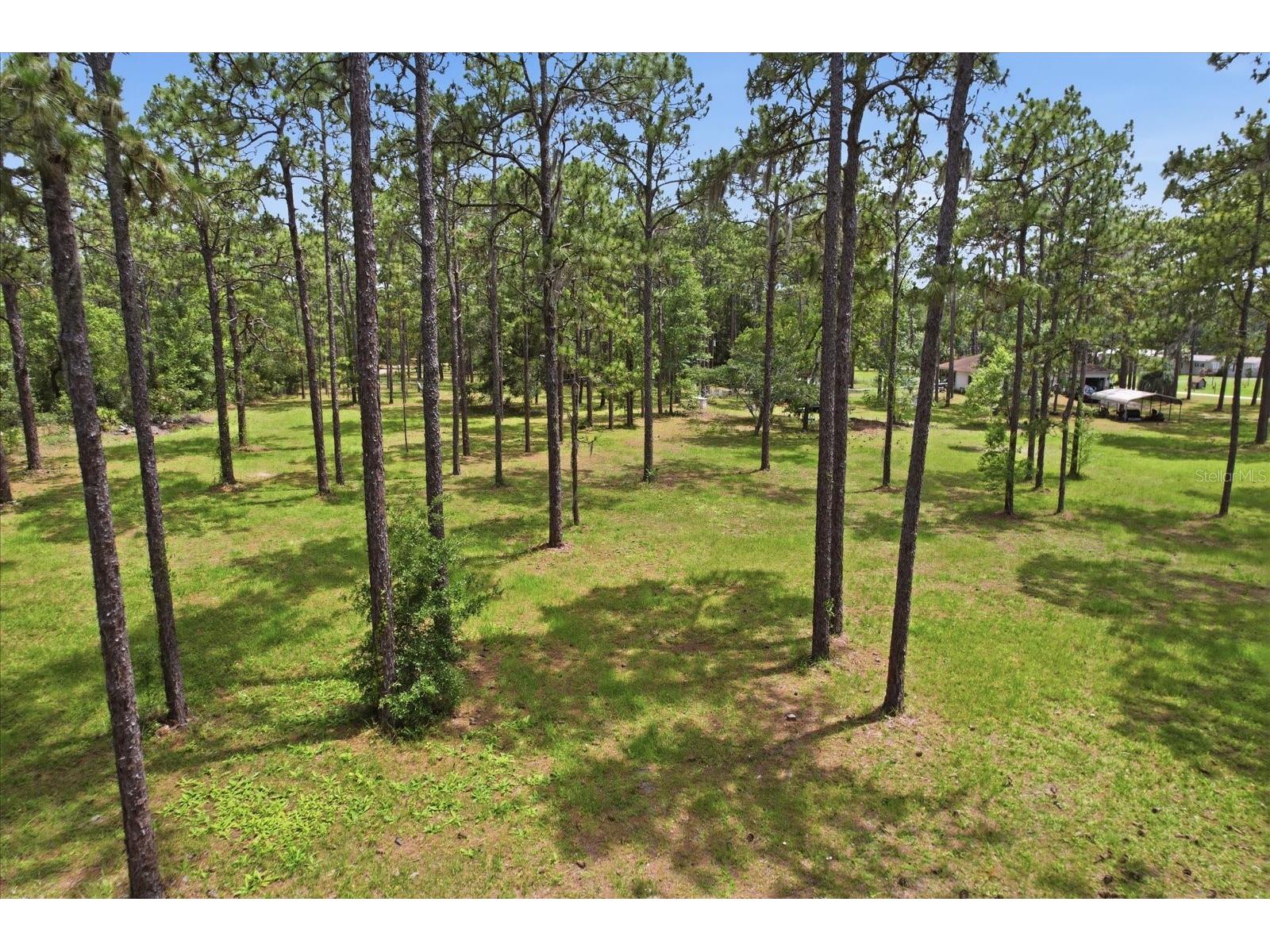 6950 W Hilger Court Homosassa FL 34448 TB8514918 image35