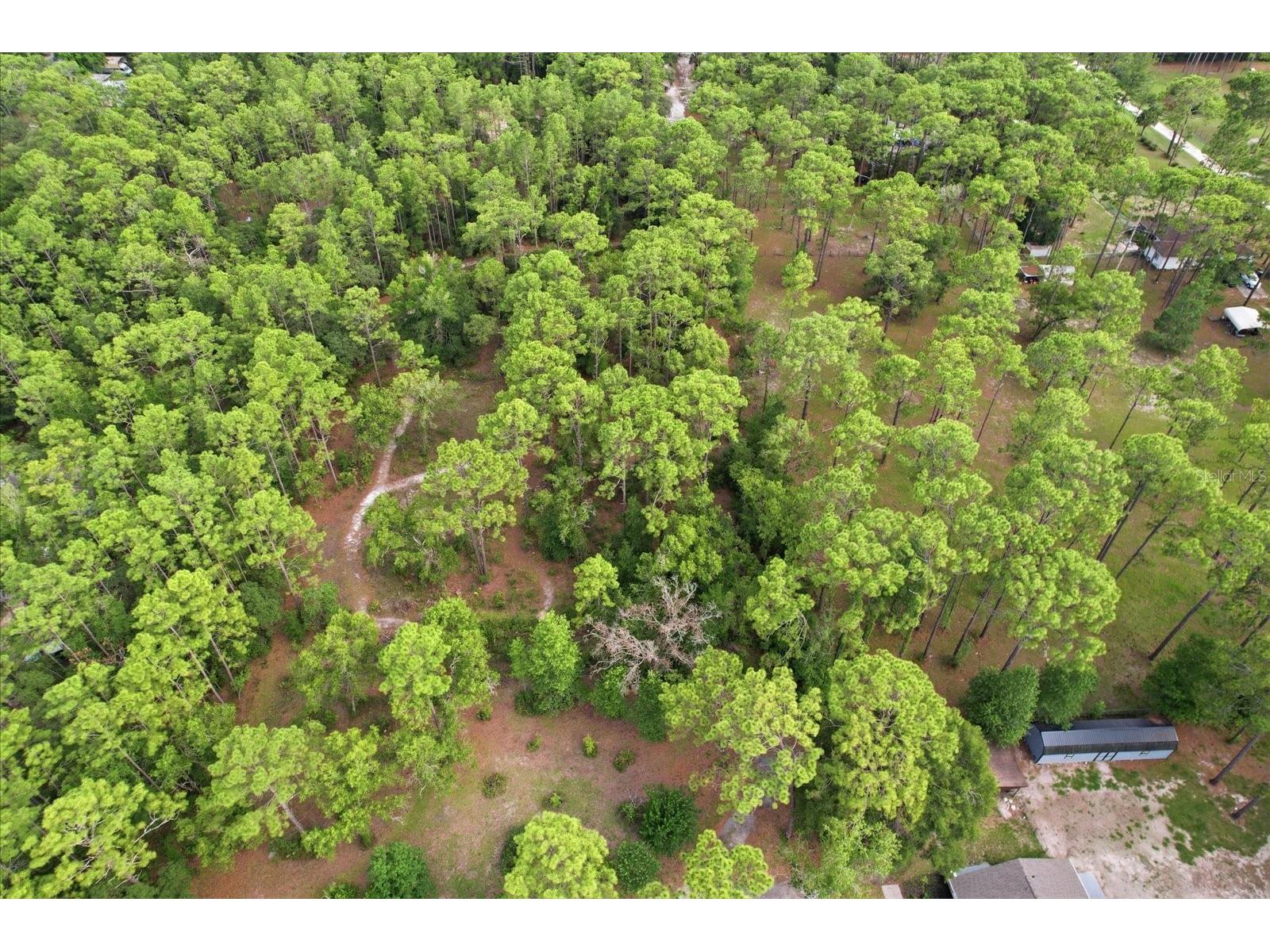 6950 W Hilger Court Homosassa FL 34448 TB8514918 image42