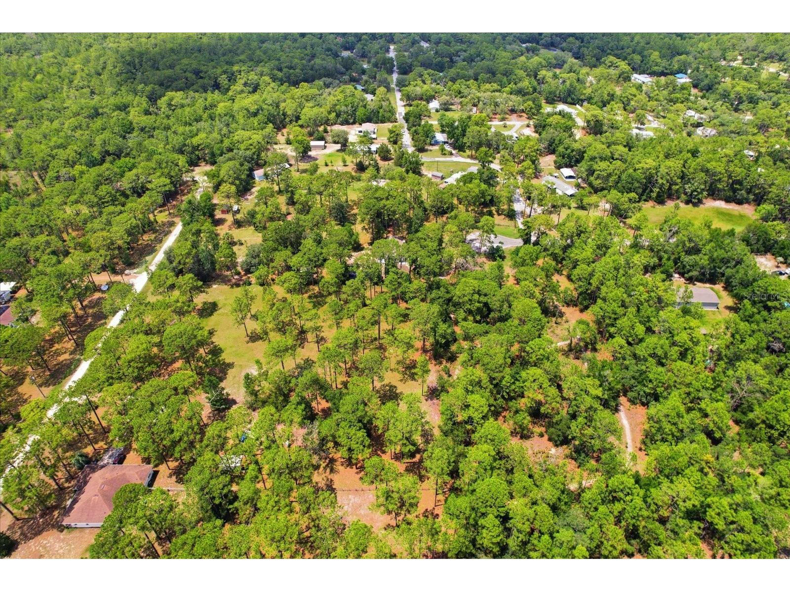 6950 W Hilger Court Homosassa FL 34448 TB8514918 image46