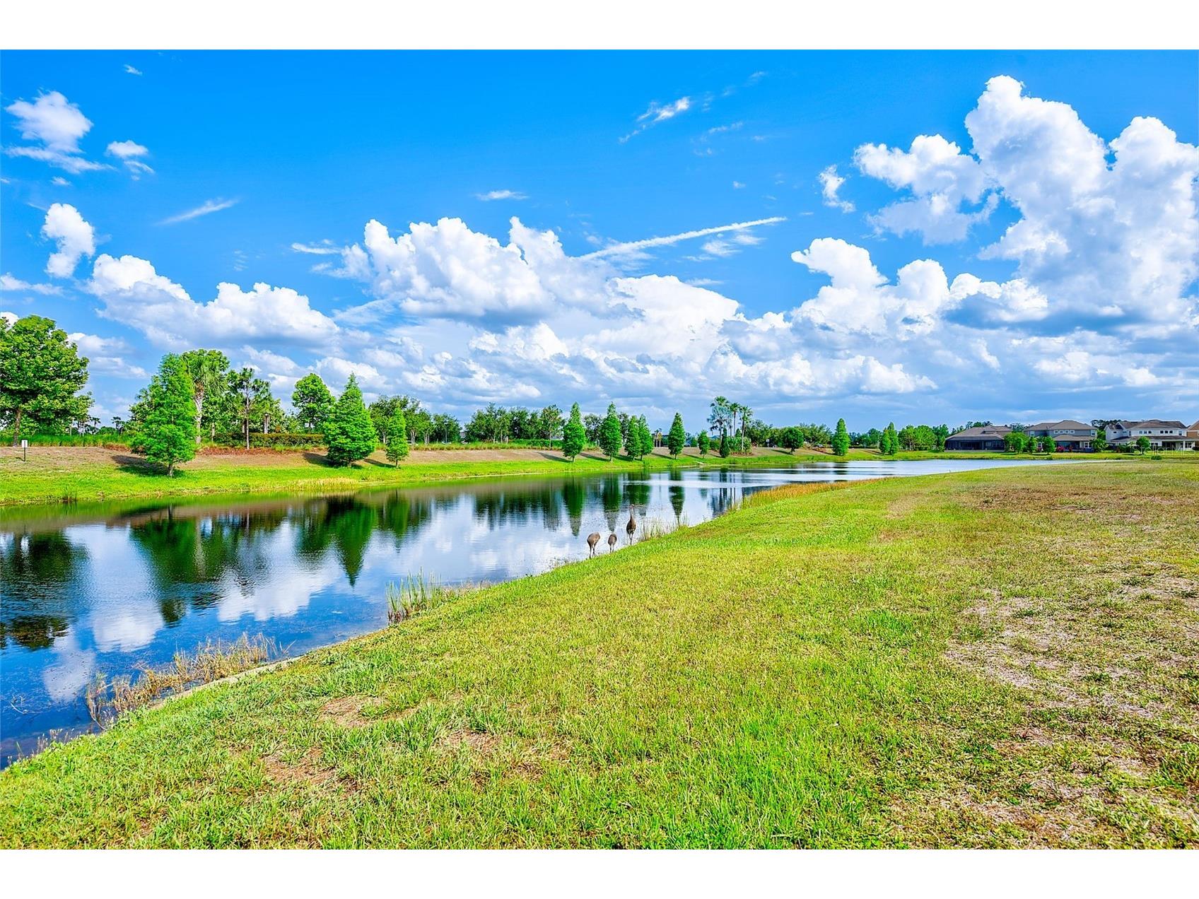 6951 Crestpoint Drive Apollo Beach FL 33572 TB8510580 image60