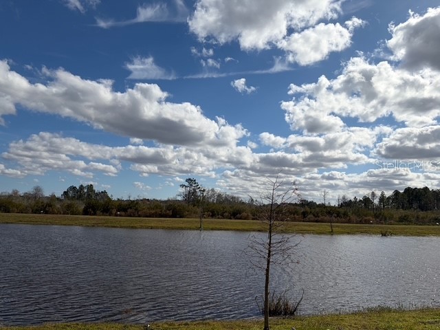6952 Audobon Osprey Cove Harmony FL 34773 S5142173 image16