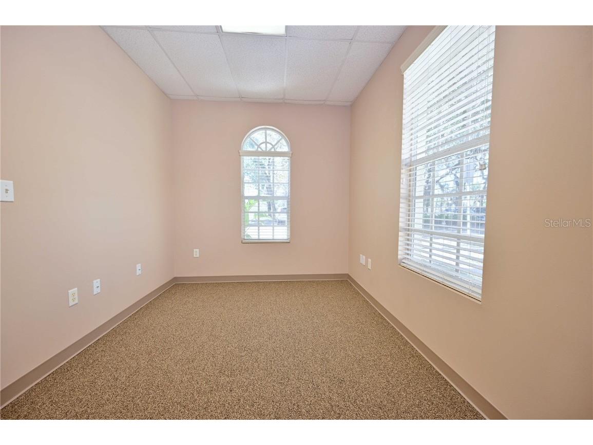 6953 E Fowler Avenue Temple Terrace FL 33617 TB8444680 image14