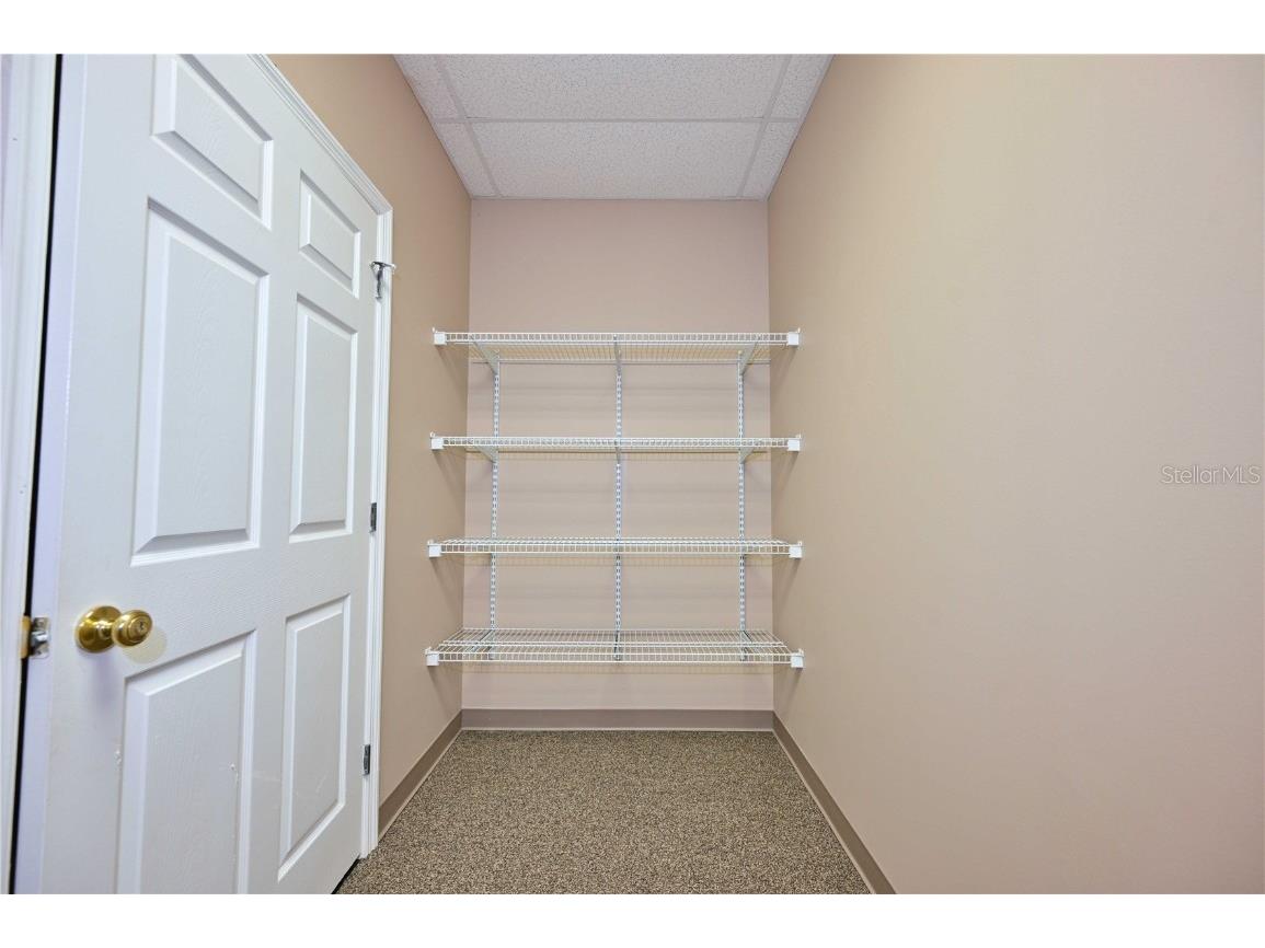 6953 E Fowler Avenue Temple Terrace FL 33617 TB8444680 image24