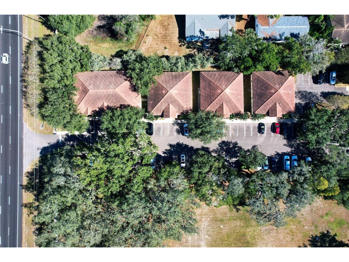 6953 E Fowler Avenue Temple Terrace FL 33617 TB8444680 image4