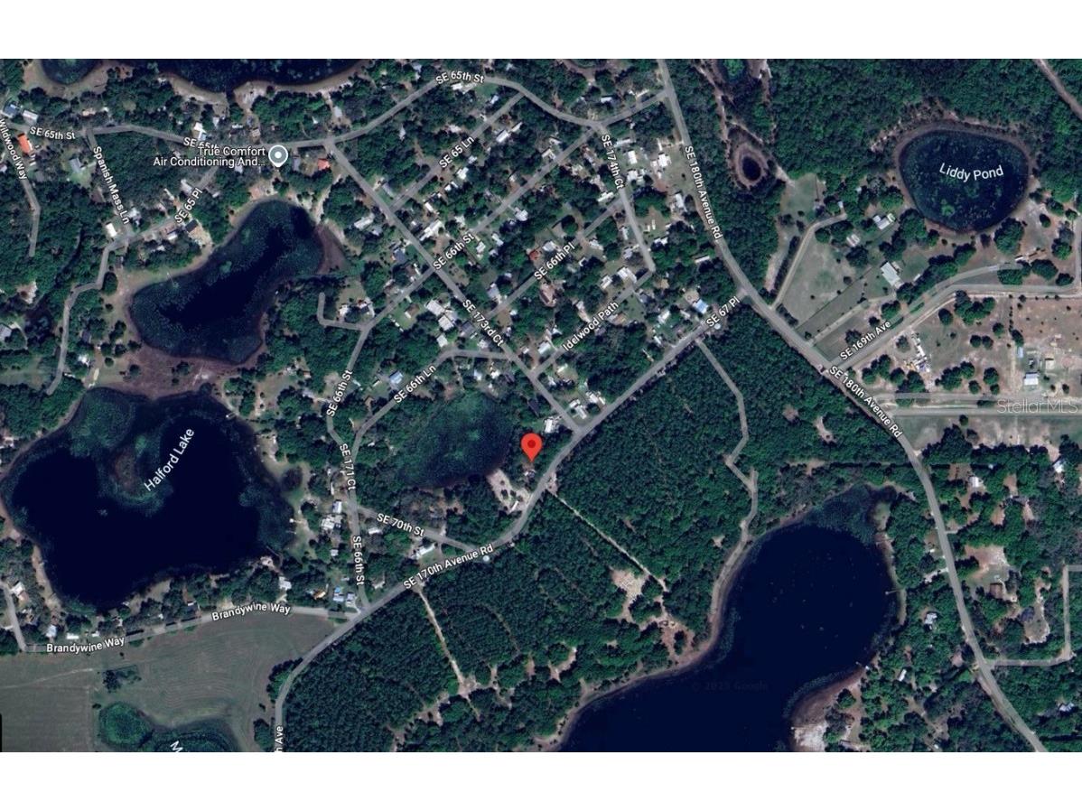 6954 SE 170th Avenue Road Ocklawaha FL 32179 - LAKE LOCH LAMOND O6274597 image10