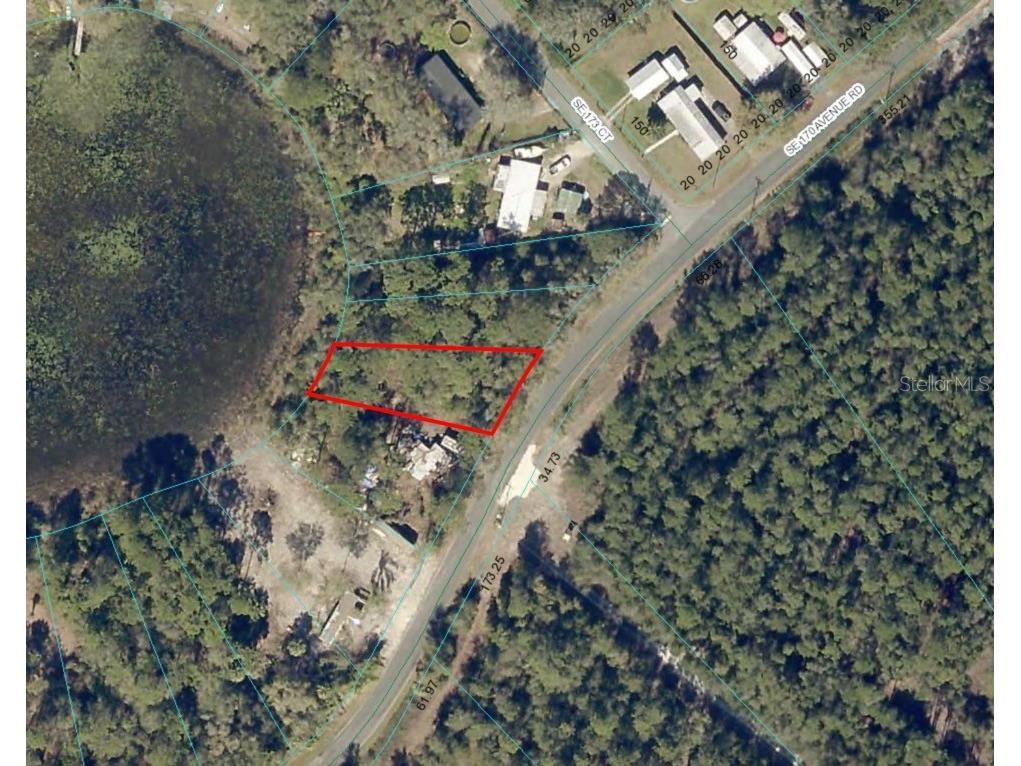 6954 SE 170th Avenue Road Ocklawaha FL 32179 - LAKE LOCH LAMOND O6274597 image2