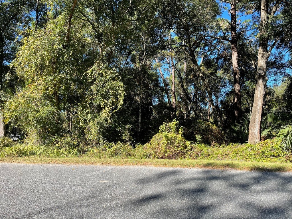 6954 SE 170th Avenue Road Ocklawaha FL 32179 - LAKE LOCH LAMOND O6274597 image3