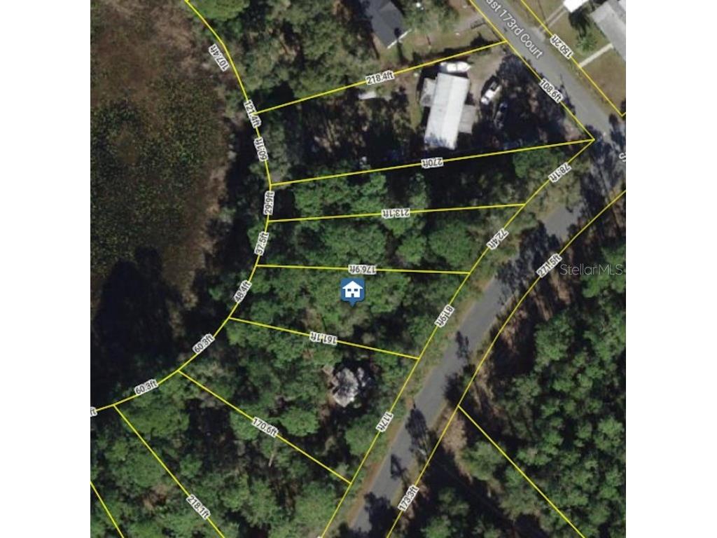 6954 SE 170th Avenue Road Ocklawaha FL 32179 - LAKE LOCH LAMOND O6274597 image4