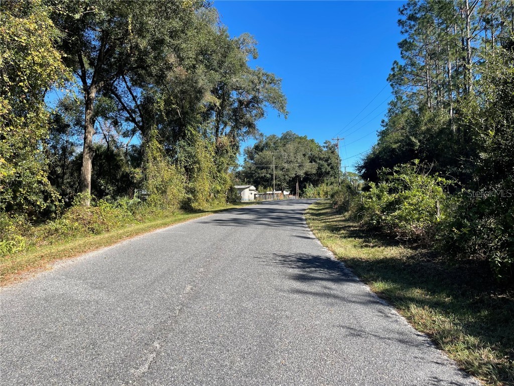 6954 SE 170th Avenue Road Ocklawaha FL 32179 - LAKE LOCH LAMOND O6274597 image6