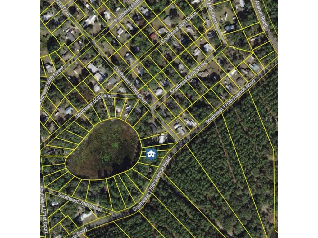 6954 SE 170th Avenue Road Ocklawaha FL 32179 - LAKE LOCH LAMOND O6274597 image8