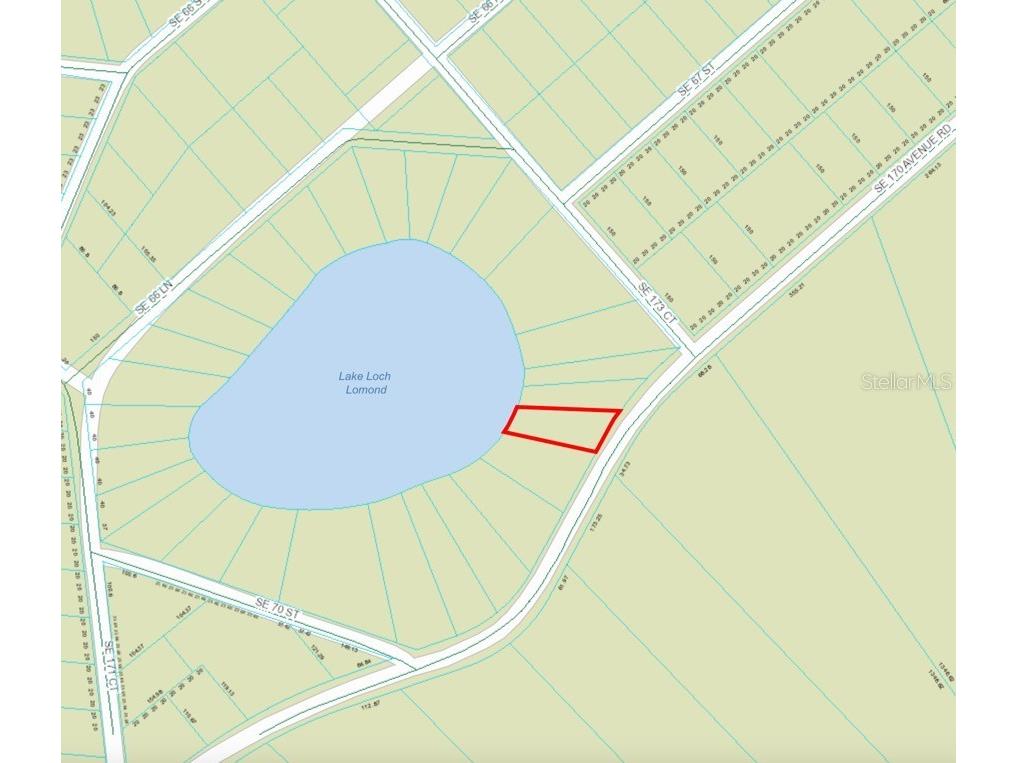 6954 SE 170th Avenue Road Ocklawaha FL 32179 - LAKE LOCH LAMOND O6274597 image9