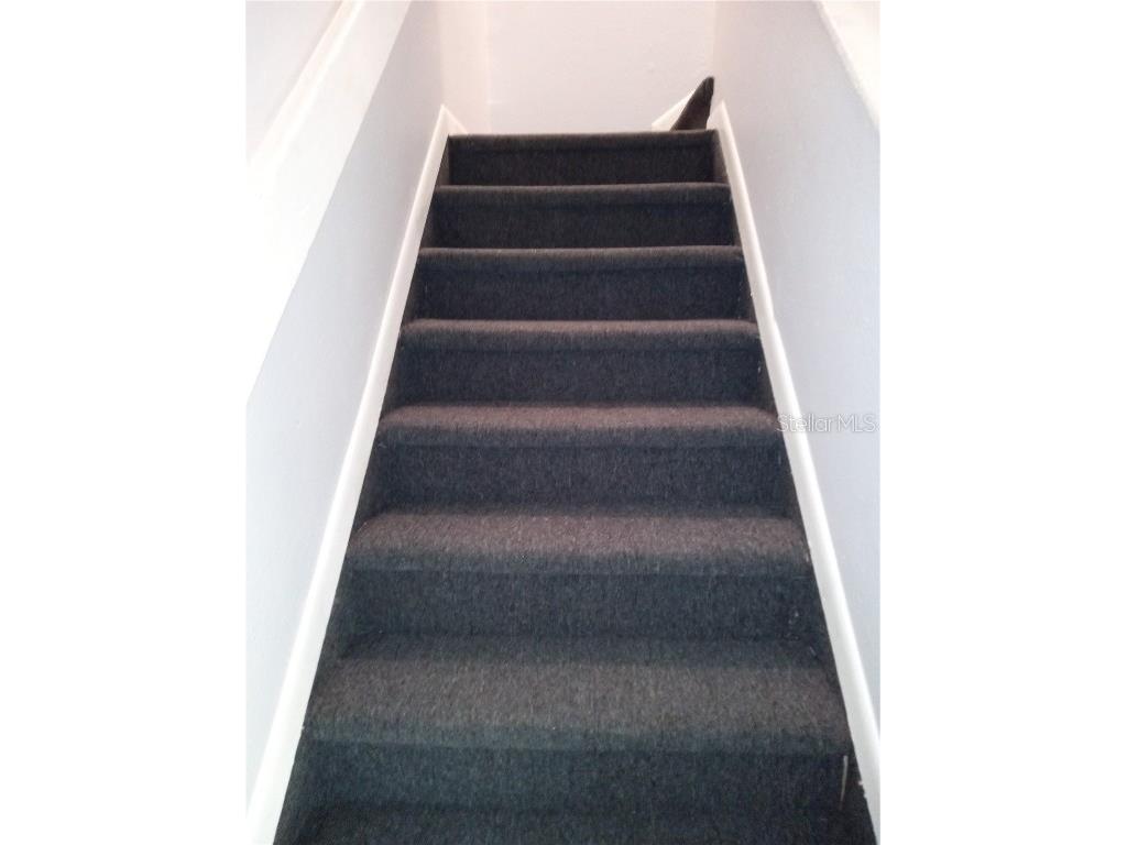 6954 Trout Street Tampa FL 33617 L4957495 image12