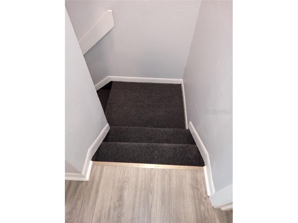 6954 Trout Street Tampa FL 33617 L4957495 image13