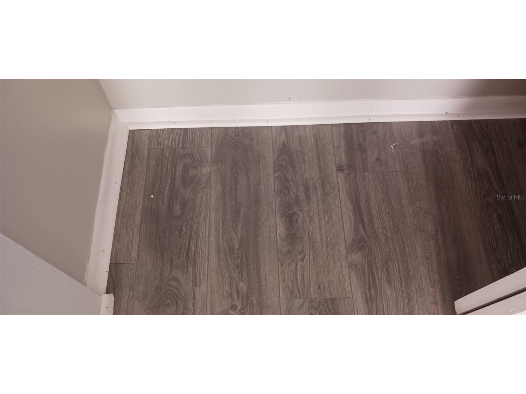 6954 Trout Street Tampa FL 33617 L4957495 image17