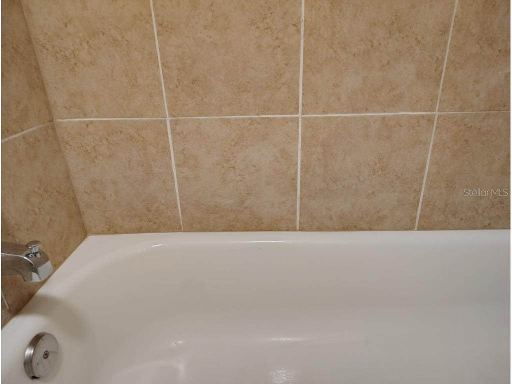 6954 Trout Street Tampa FL 33617 L4957495 image21