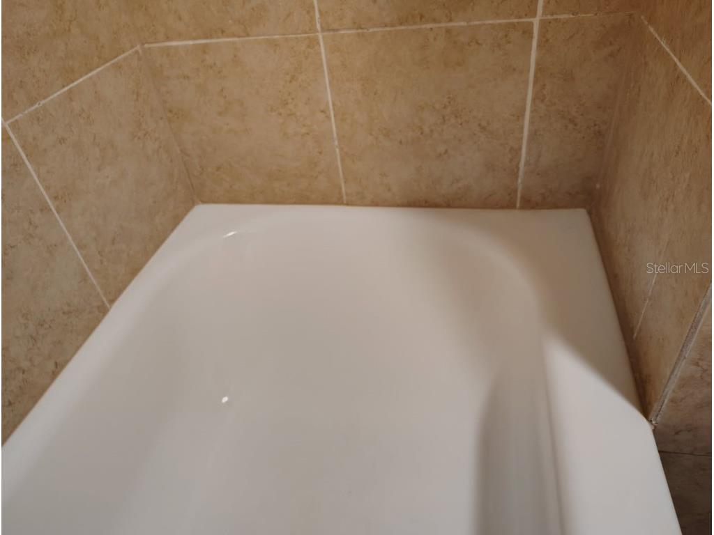 6954 Trout Street Tampa FL 33617 L4957495 image23