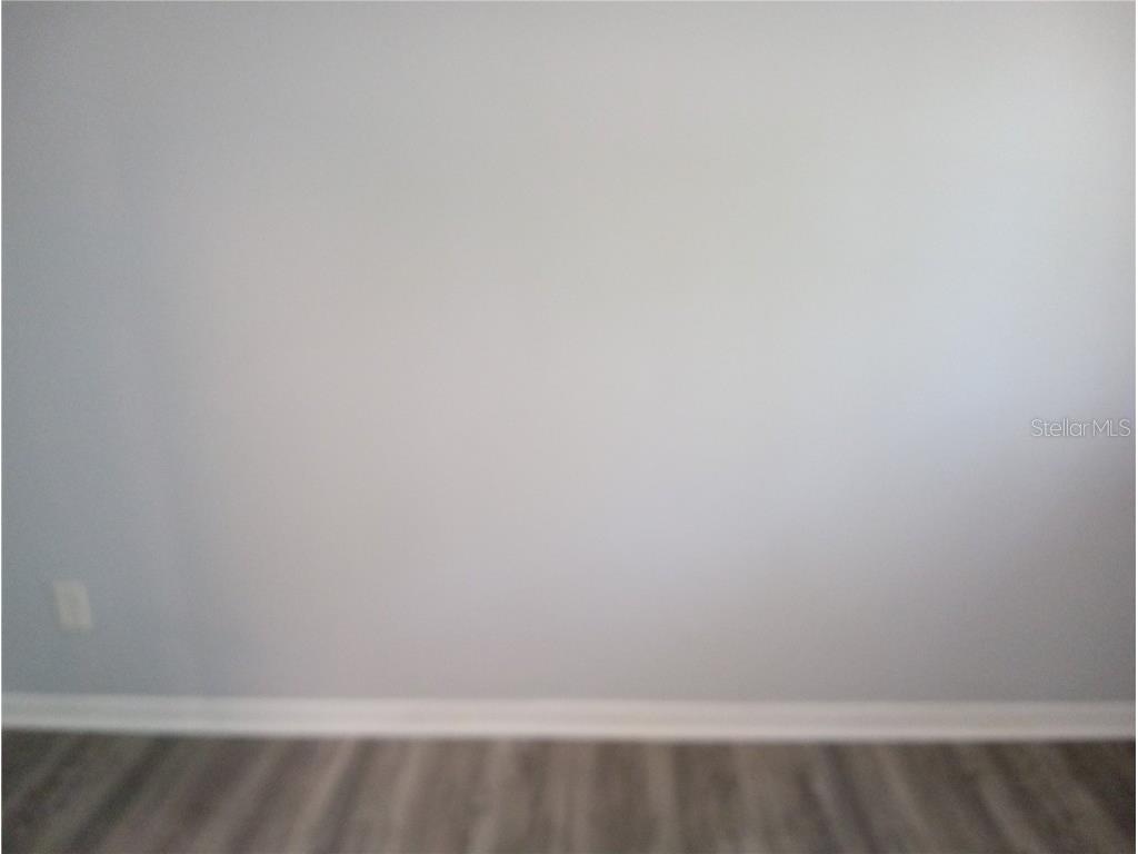 6954 Trout Street Tampa FL 33617 L4957495 image26