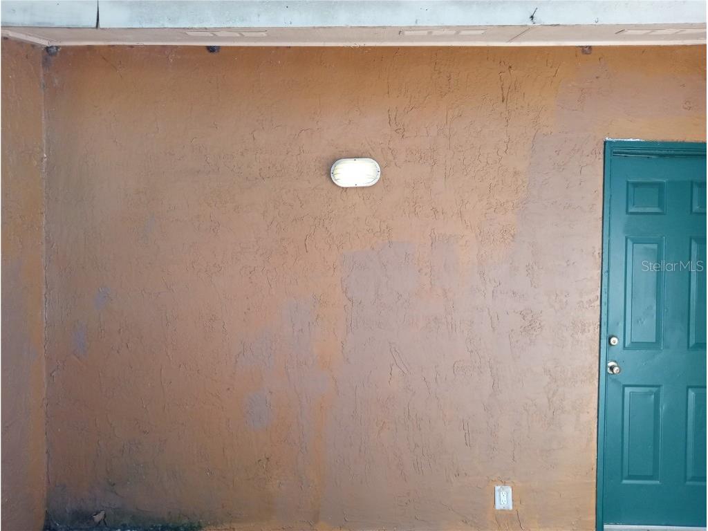 6954 Trout Street Tampa FL 33617 L4957495 image3