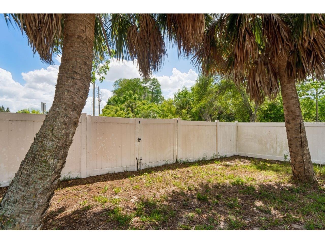6955 Bottle Brush Drive Port Richey FL 34668 W7884356 image46