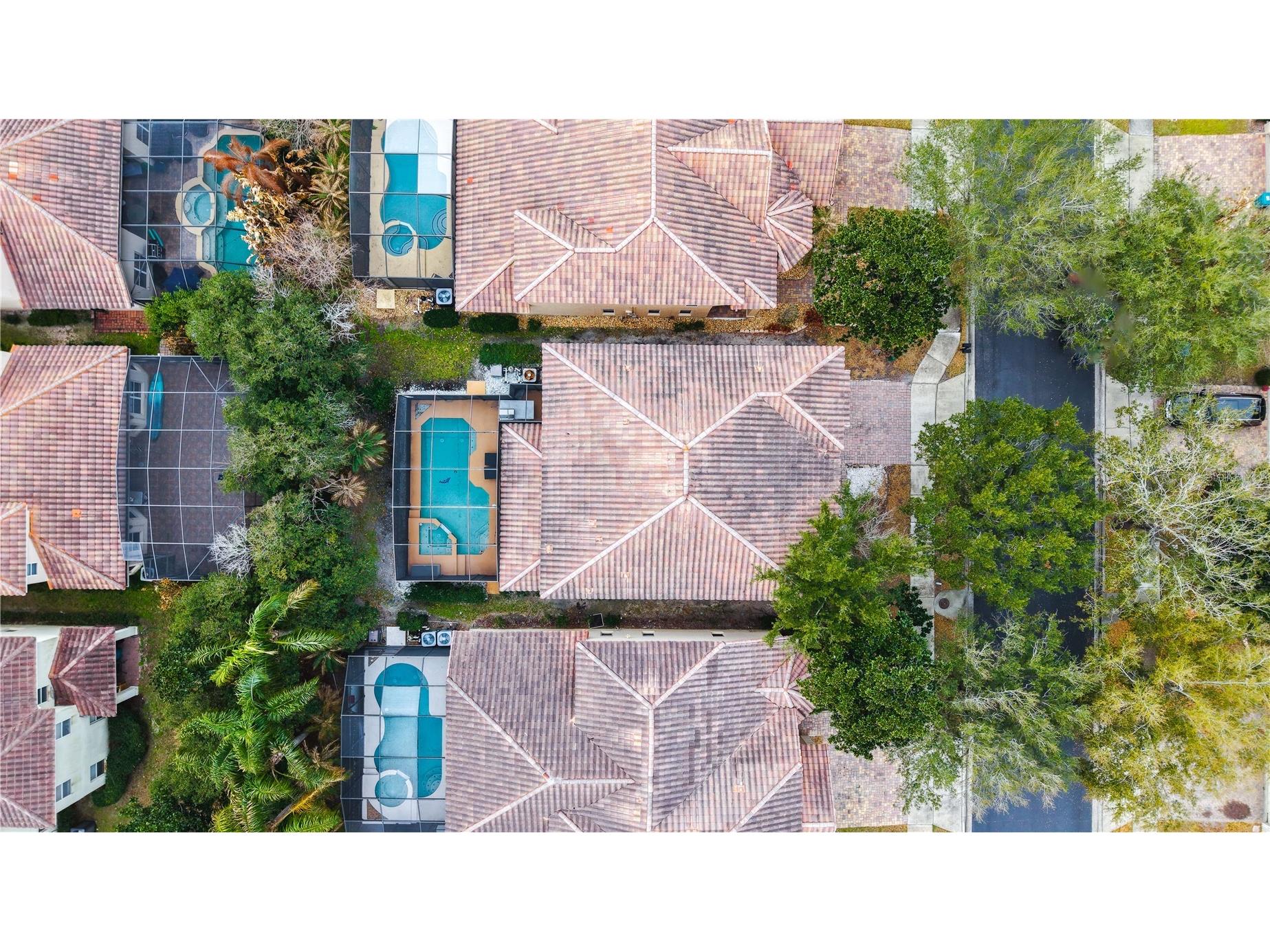 6956 Lucca Street Orlando FL 32819 O6386632 image3