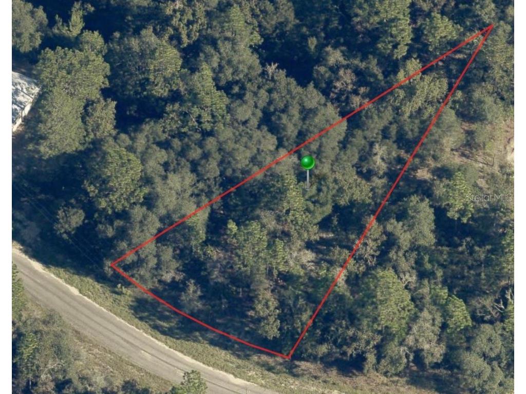 6956 N Lime Drive Citrus Springs FL 34433 A4578434 image1