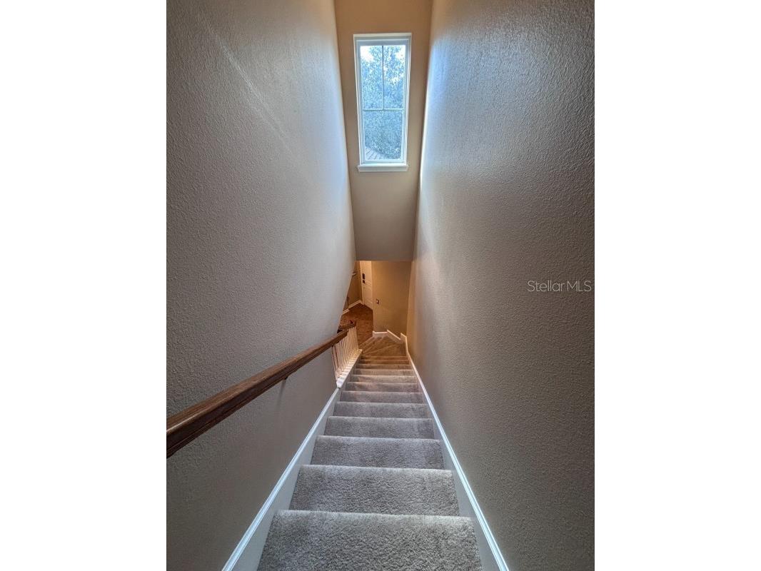 6957 Northwich Drive Windermere FL 34786 A4676454 image10