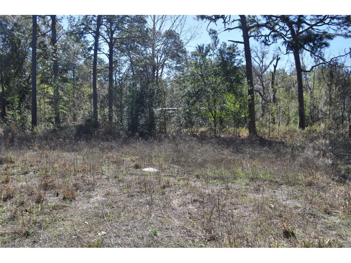 6958 W Mina Lane Dunnellon FL 34433 U8190705 image1