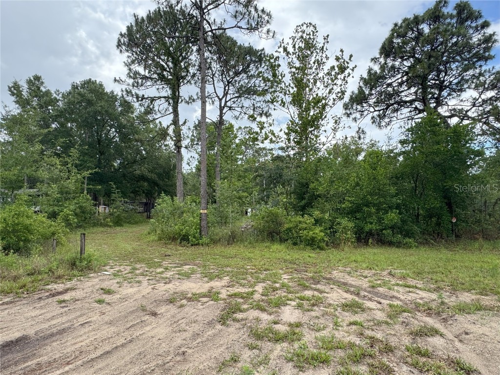 6958 W Mina Lane Dunnellon FL 34433 TB8397736 image1