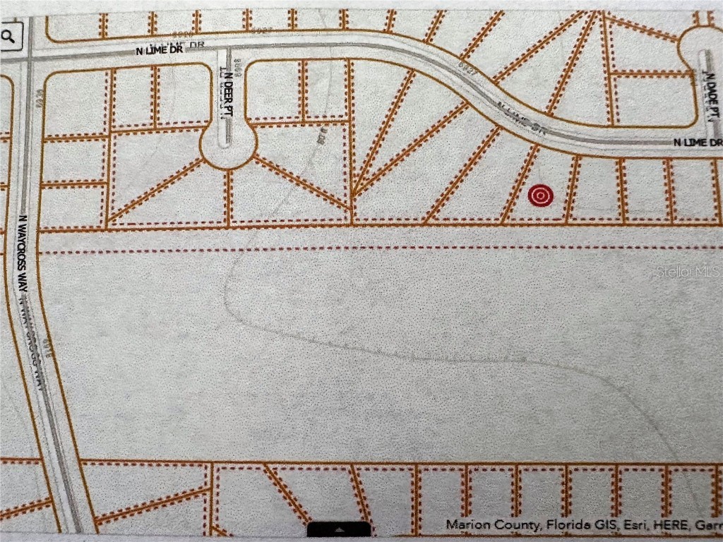 6959 N Lime Drive Citrus Springs FL 34433 U8205805 image1