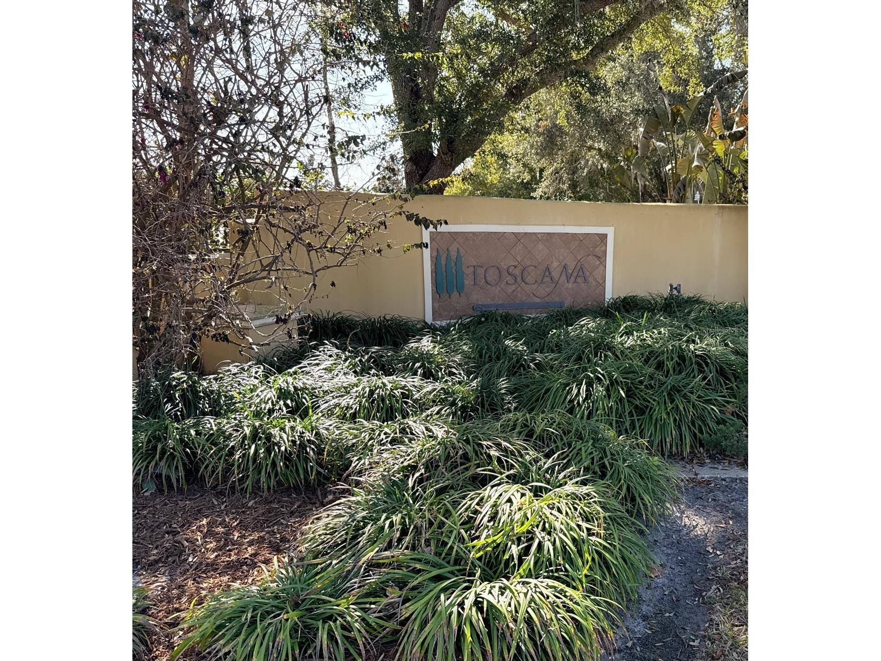 6959 Sorrento Street Orlando FL 32819 O6381594 image29