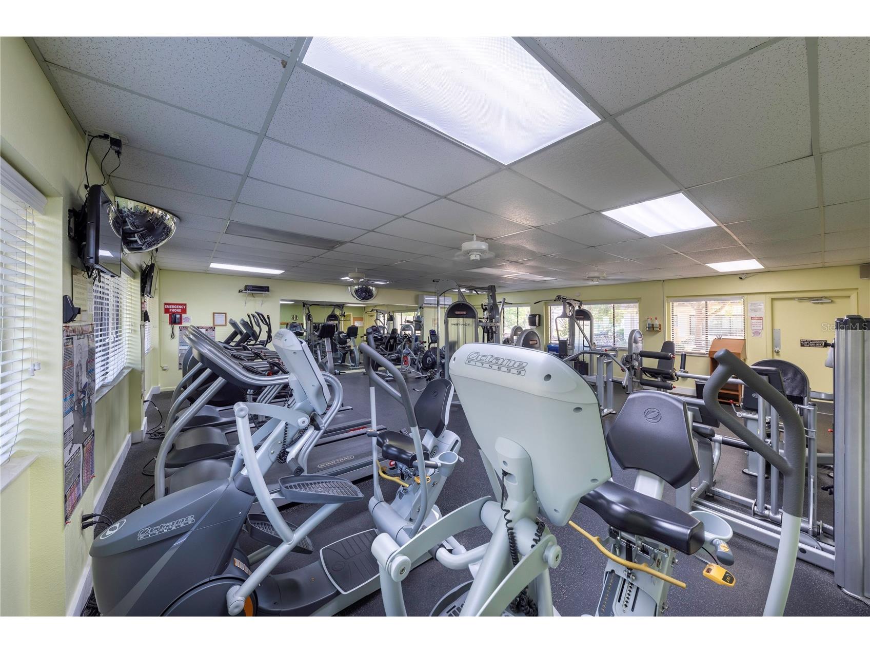 696 Bird Bay Drive W #138 Venice FL 34285 N6142898 image35