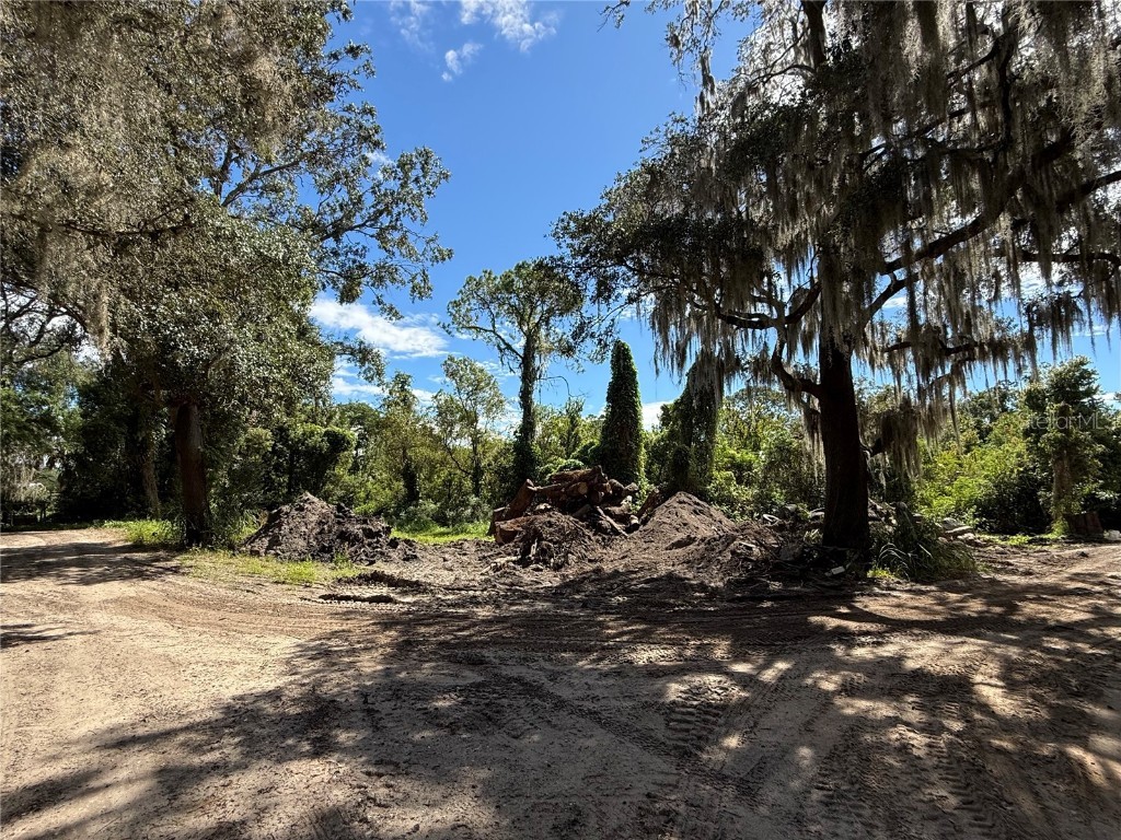 696 N Sunset Drive Mount Dora FL 32757 G5103490 image10