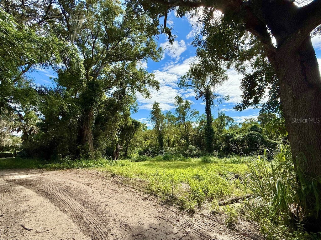 696 N Sunset Drive Mount Dora FL 32757 G5103490 image14