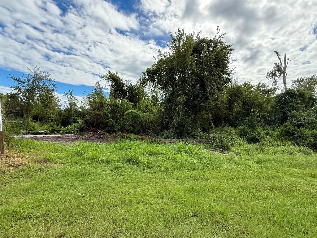 696 N Sunset Drive Mount Dora FL 32757 G5103490 image17