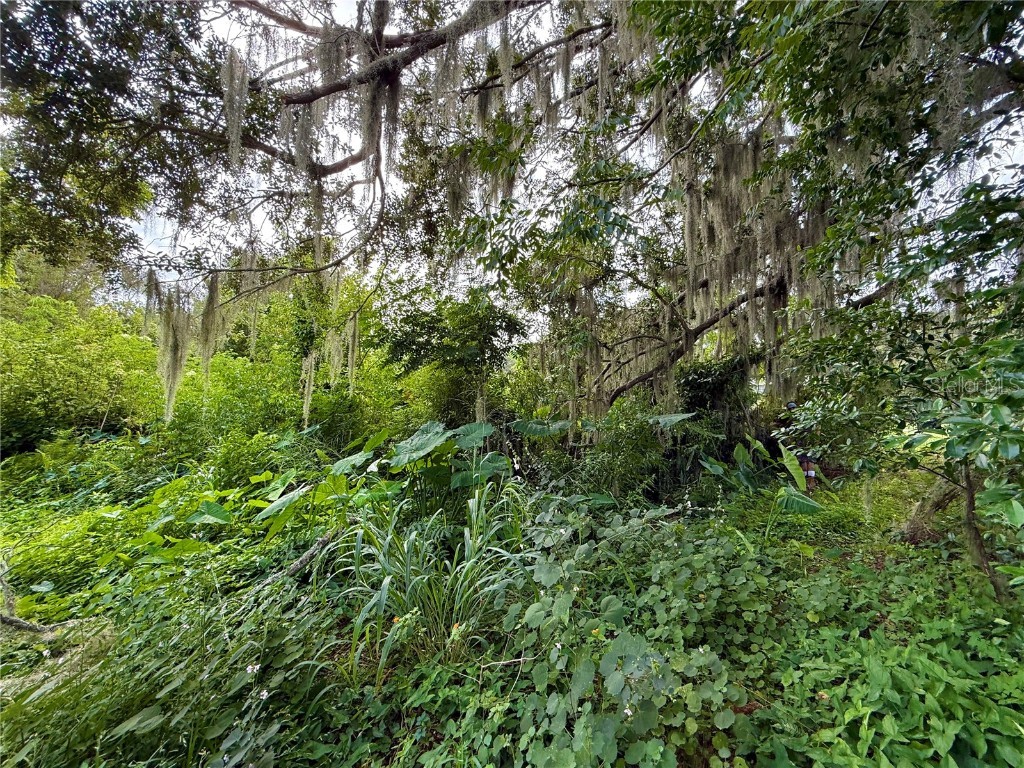 696 N Sunset Drive Mount Dora FL 32757 G5103490 image19