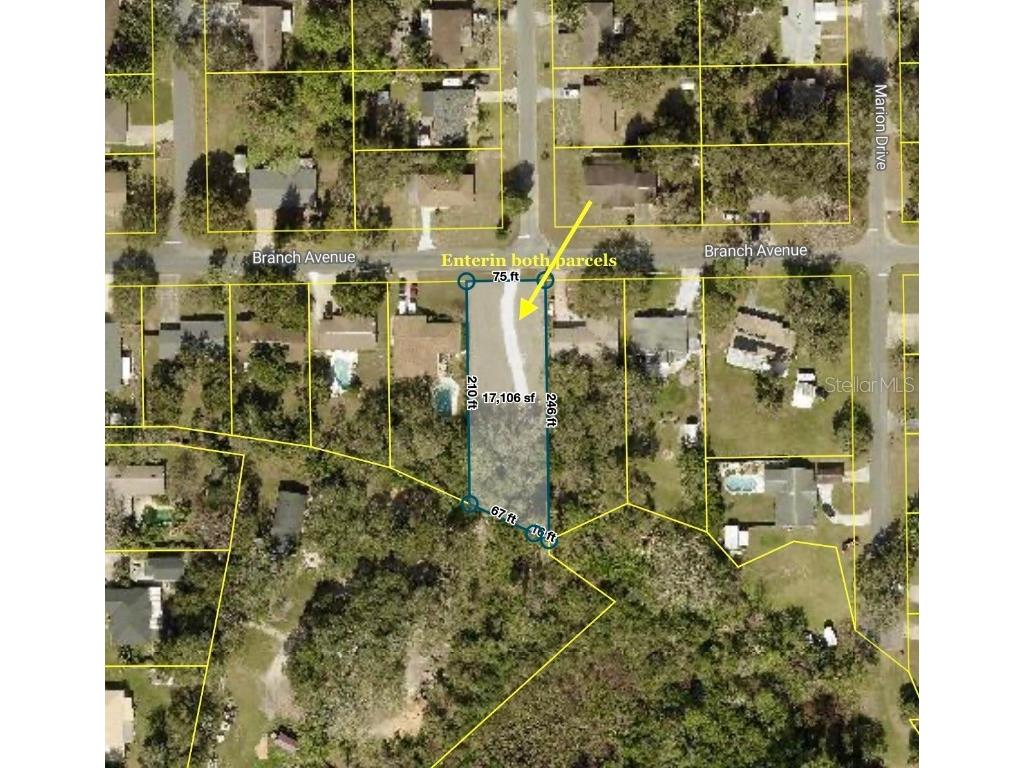 696 N Sunset Drive Mount Dora FL 32757 G5103490 image25