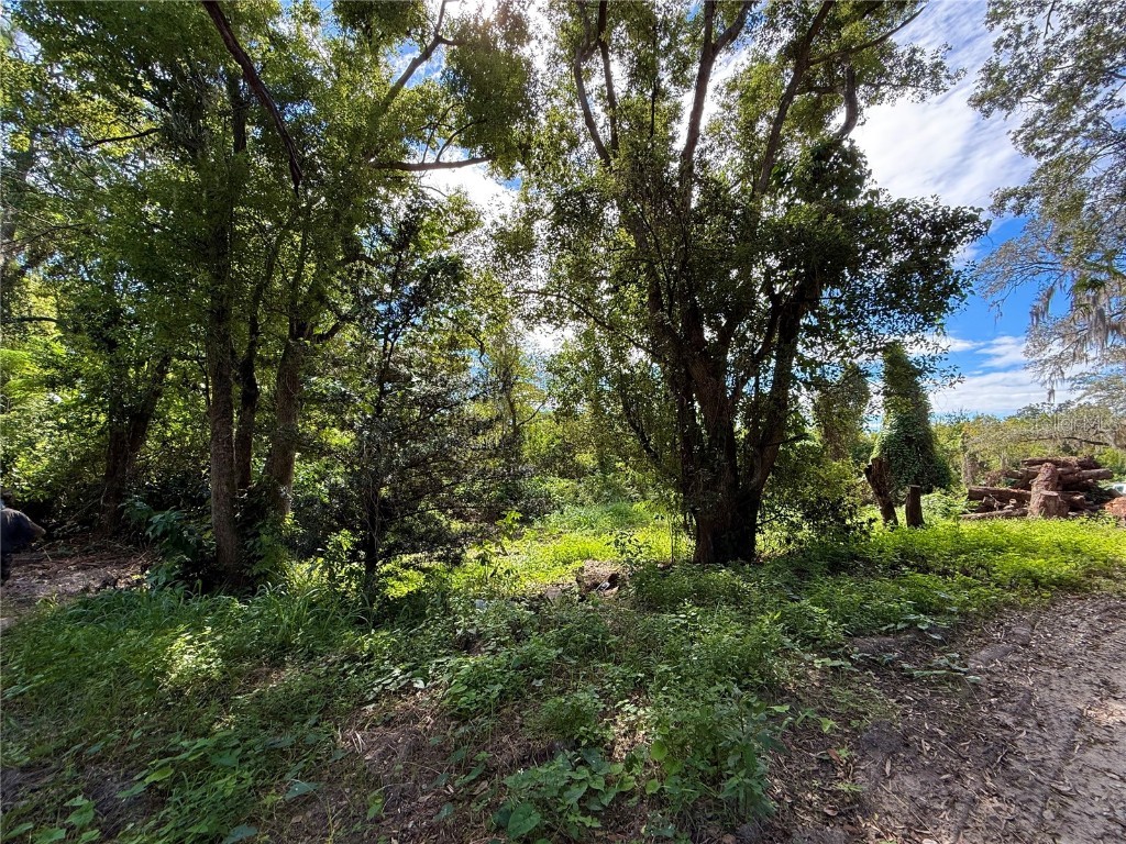 696 N Sunset Drive Mount Dora FL 32757 G5103490 image5