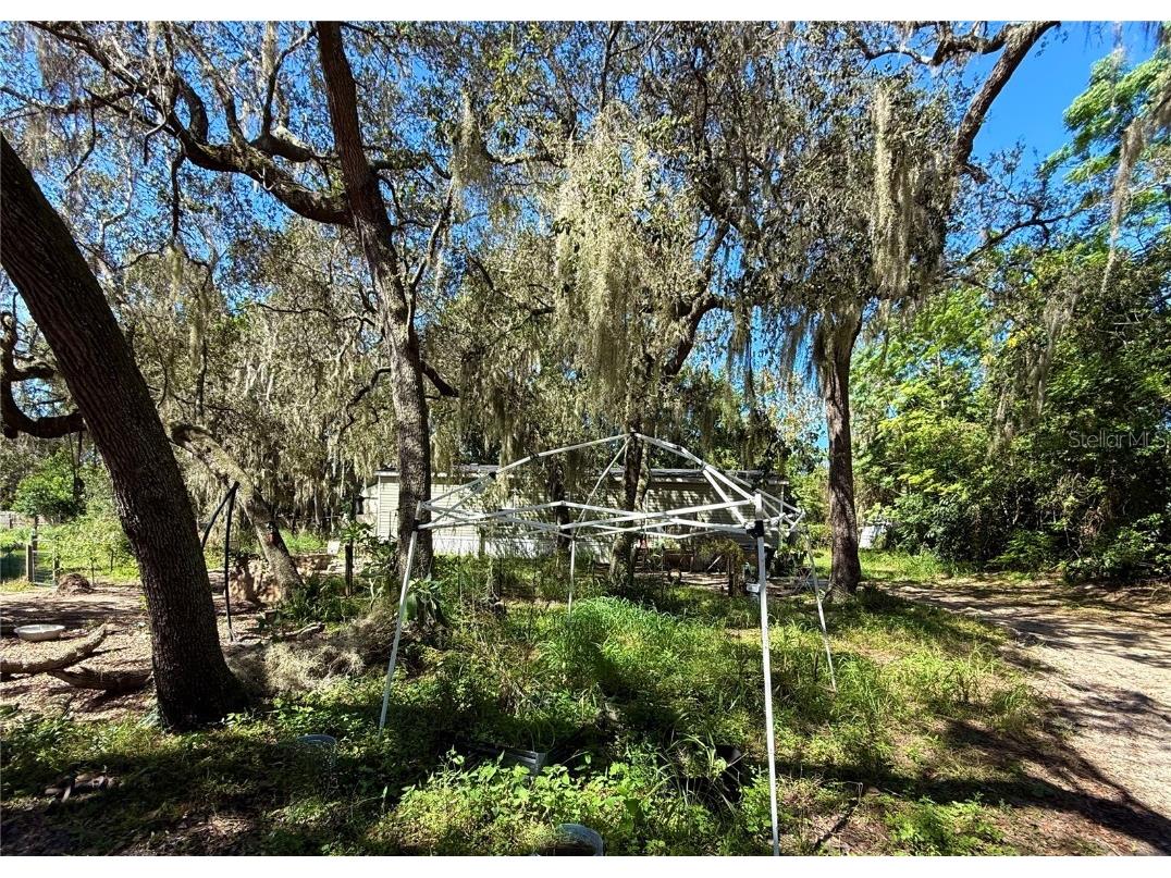 696 N Sunset Drive Mount Dora FL 32757 G5103490 image7