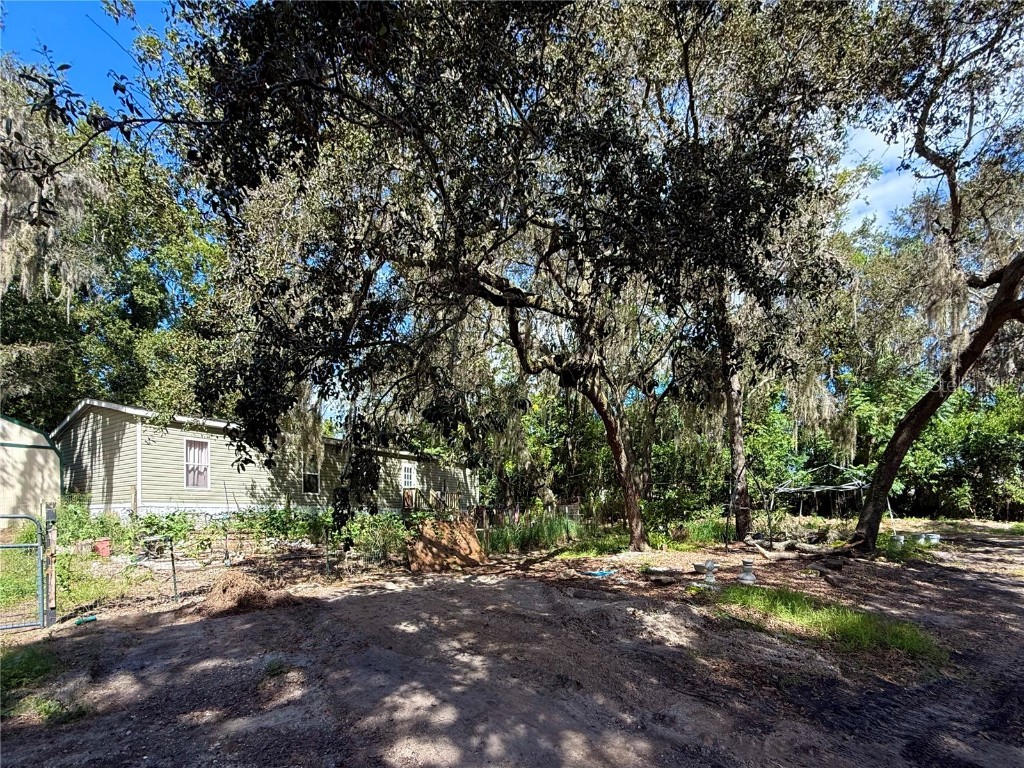 696 N Sunset Drive Mount Dora FL 32757 G5103490 image8