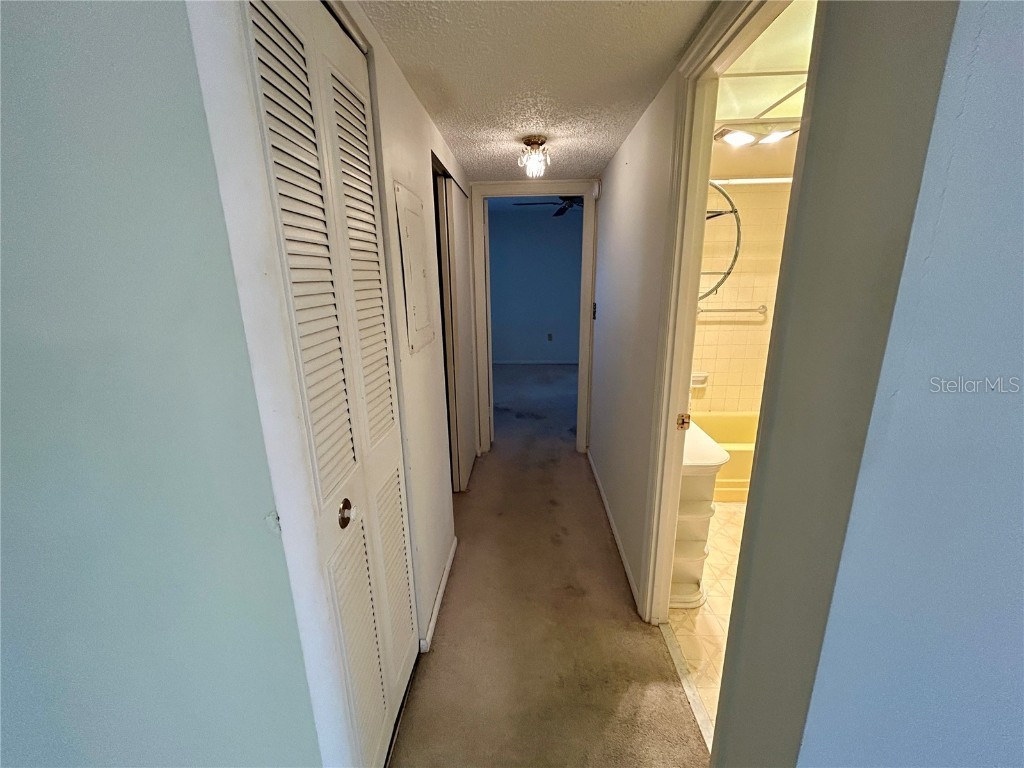 6960 20th Avenue N #301 Saint Petersburg FL 33710 TB8450197 image17