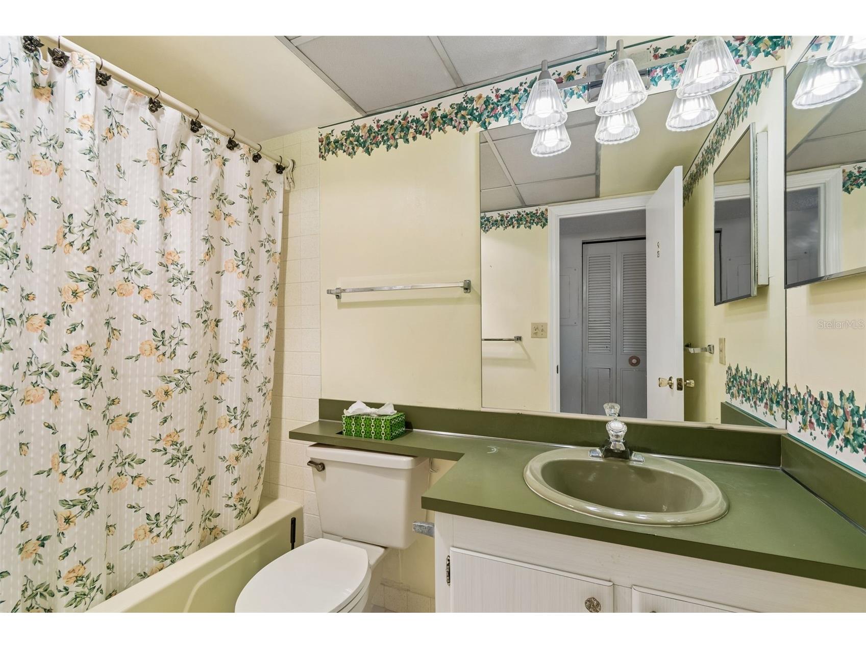 6960 20th Avenue N #501 Saint Petersburg FL 33710 TB8506212 image43