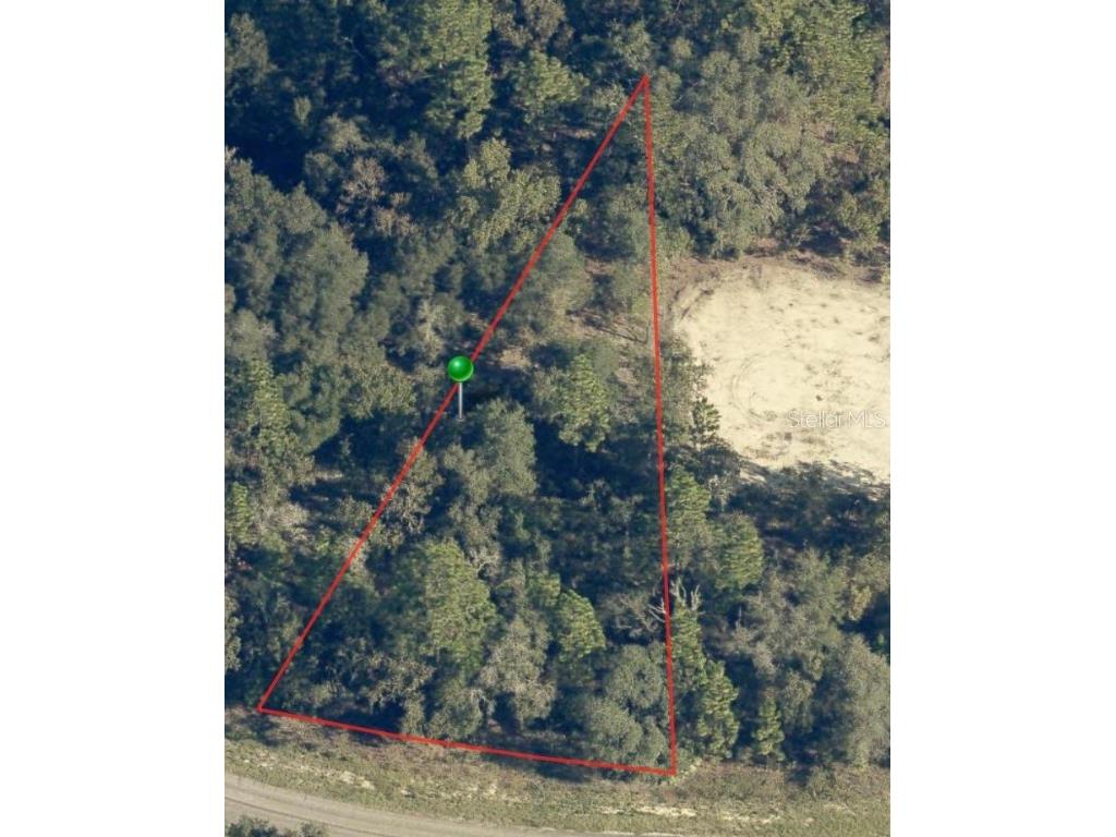 6960 N Lime Drive Citrus Springs FL 34433 A4578430 image2