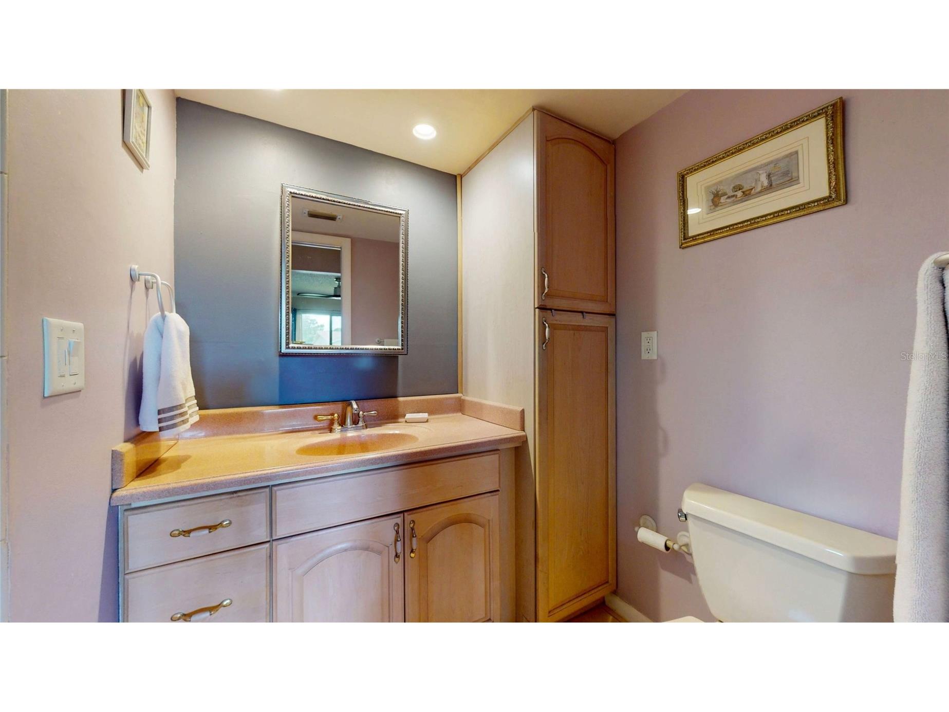 6960 Pinecrest Lane N Pinellas Park FL 33781 TB8525315 image13