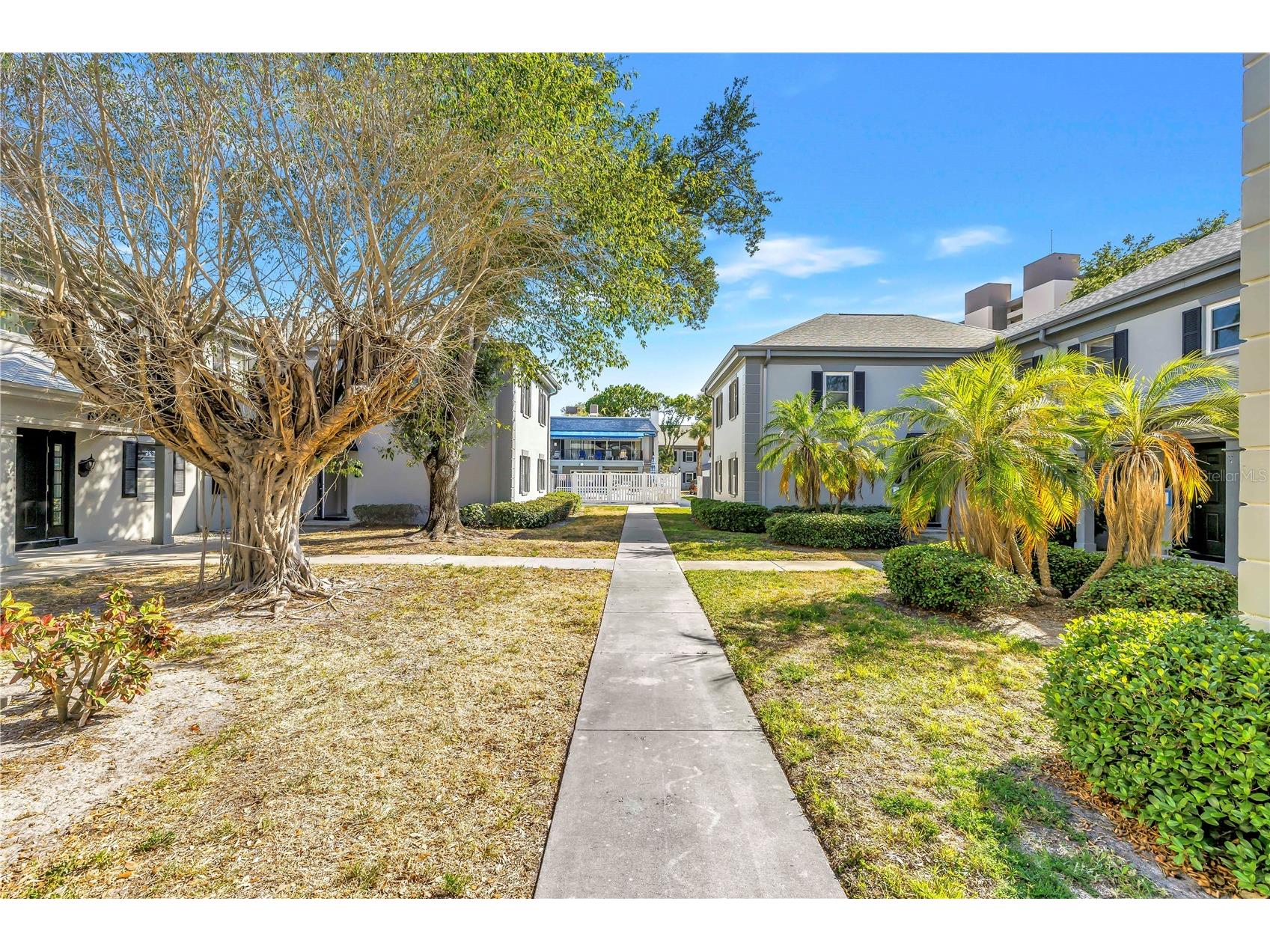 6960 Sunset Drive S #1B South Pasadena FL 33707 TB8502966 image22