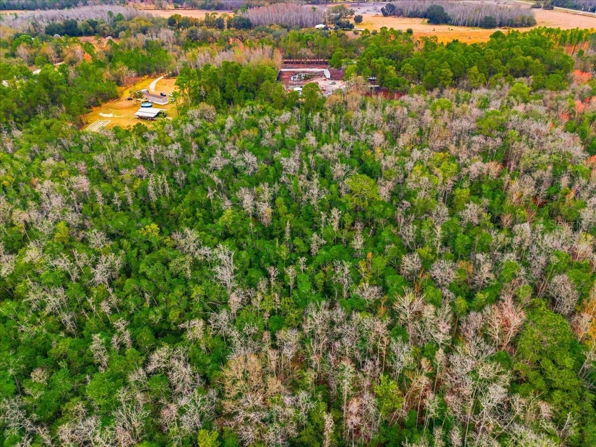 6963 Sugarbush Lane Polk City FL 33868 C7521497 image4