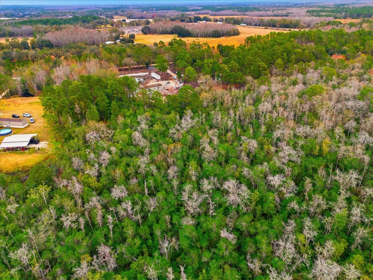 6963 Sugarbush Lane Polk City FL 33868 C7522189 image7