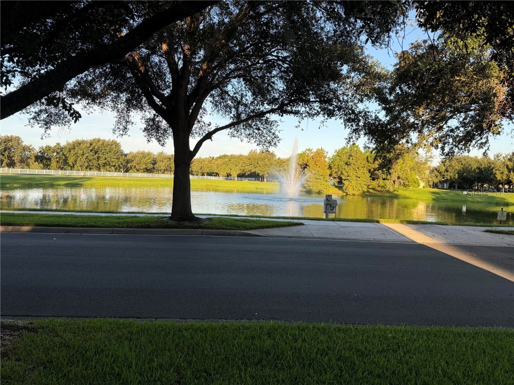 6965 Tettenhall Lane Windermere FL 34786 O6340538 image44