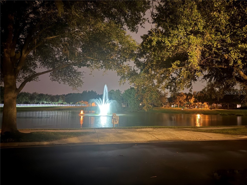 6965 Tettenhall Lane Windermere FL 34786 O6340538 image45