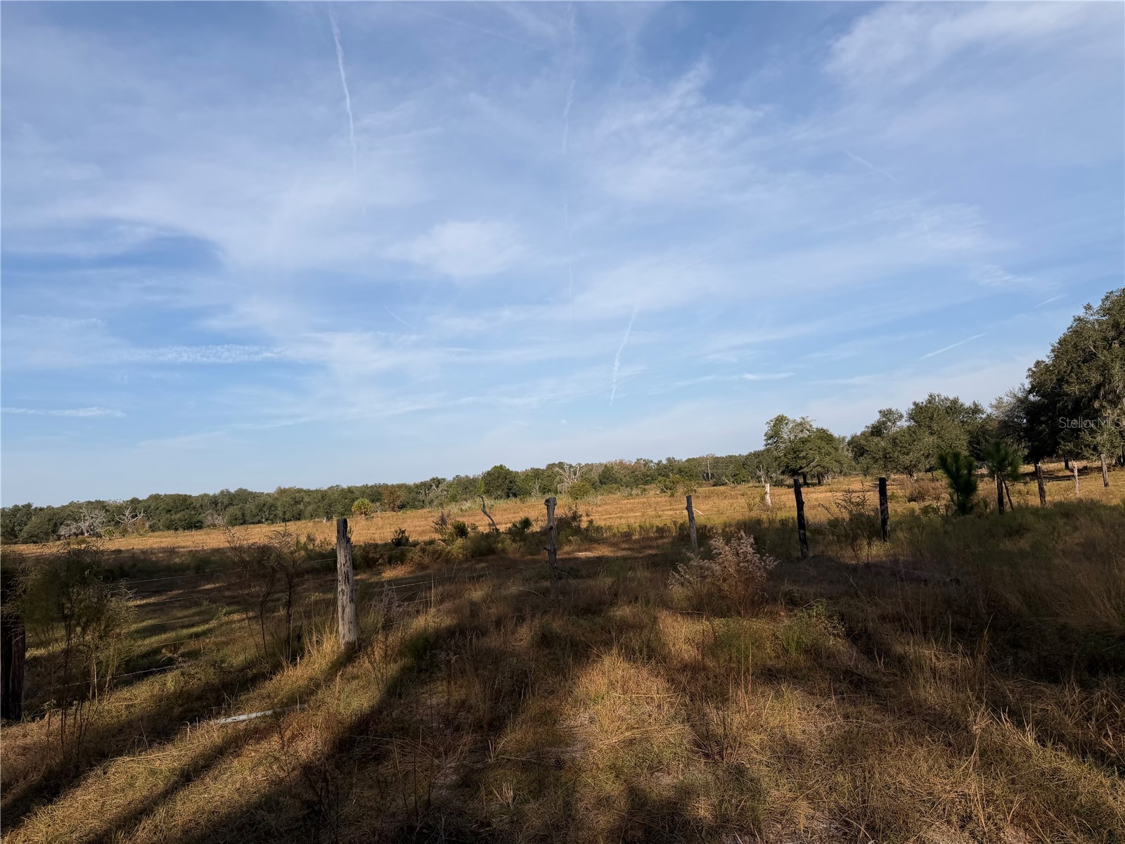 6966 E Turner Camp Road Inverness FL 34453 TB8470618 image10